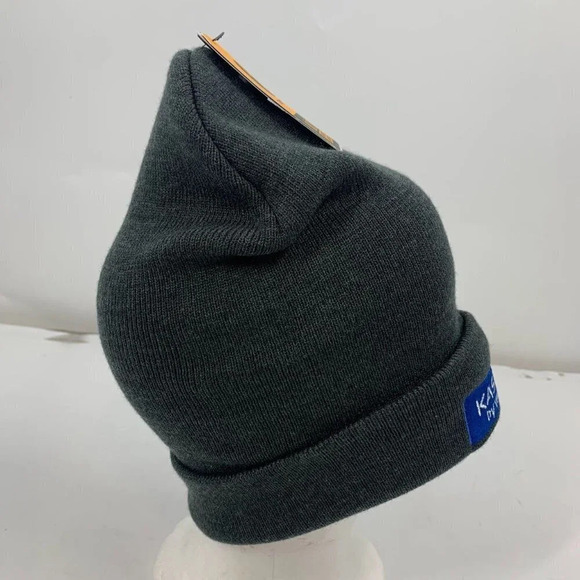 Carhartt Knit Cuffed Kasten Embroidered Front Cotton Beanie One Size NWT - Picture 6 of 14